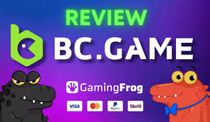 Exploring BCGame Mirrors A Guide for Players
