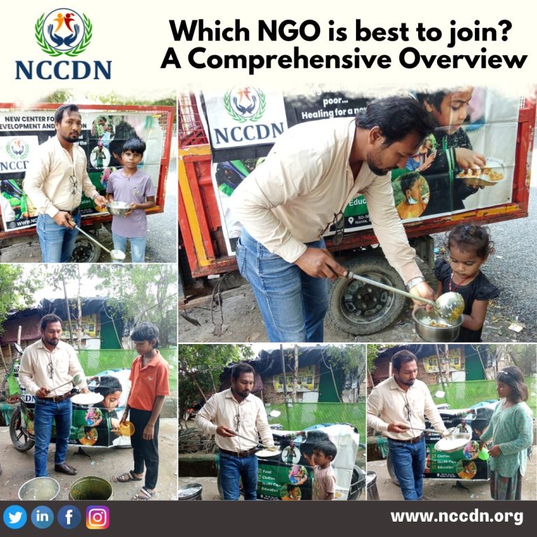 Which NGO is best to join?